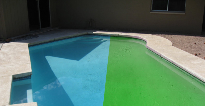 Green Pool to Clean Pool